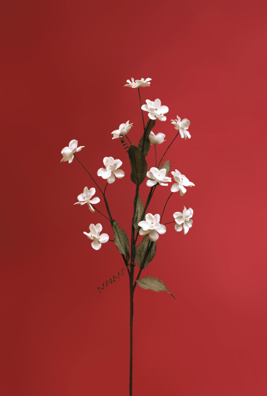 Naturblume - Solarpflanze Jasmin 92 cm