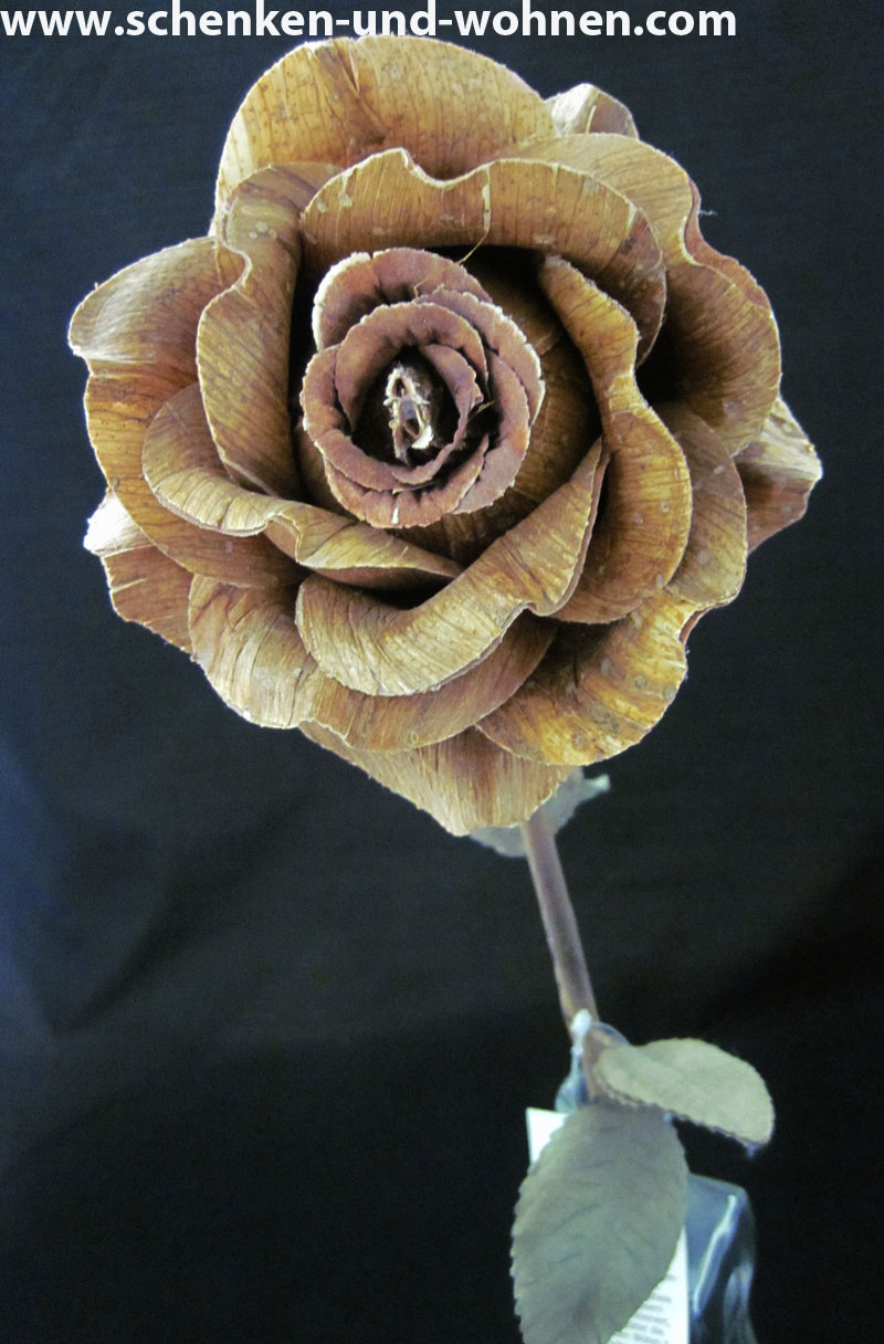 Naturblume - Solarpflanze, Rose braun ca. 60 cm lang