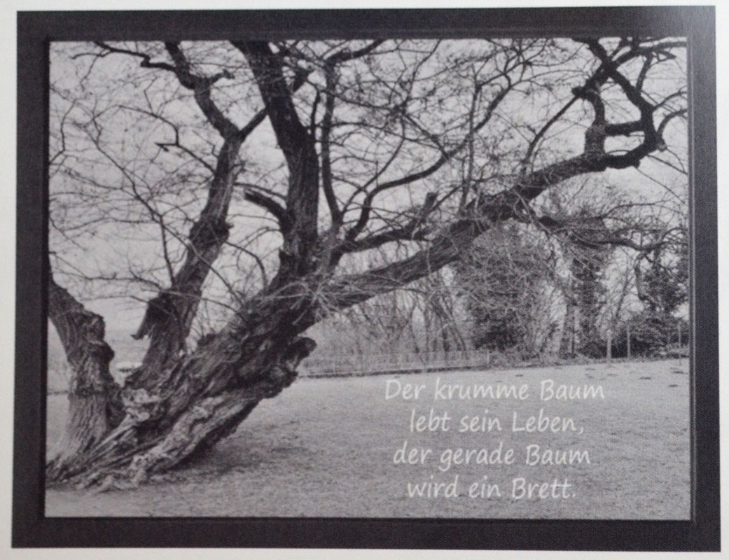 Wandbild "Der krumme Baum" 40x30 BxH